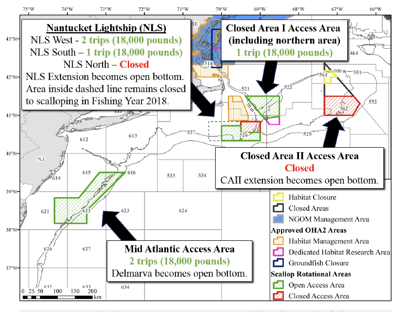 NMFS Approves New England Council Habitat Amendments; Will Provide Boost to Scallops up to 60 Millio